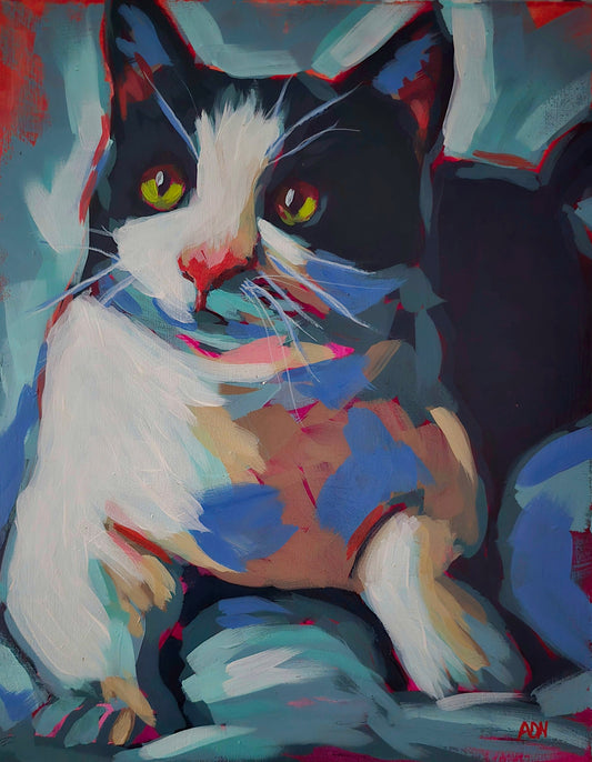 Mr Kitty
