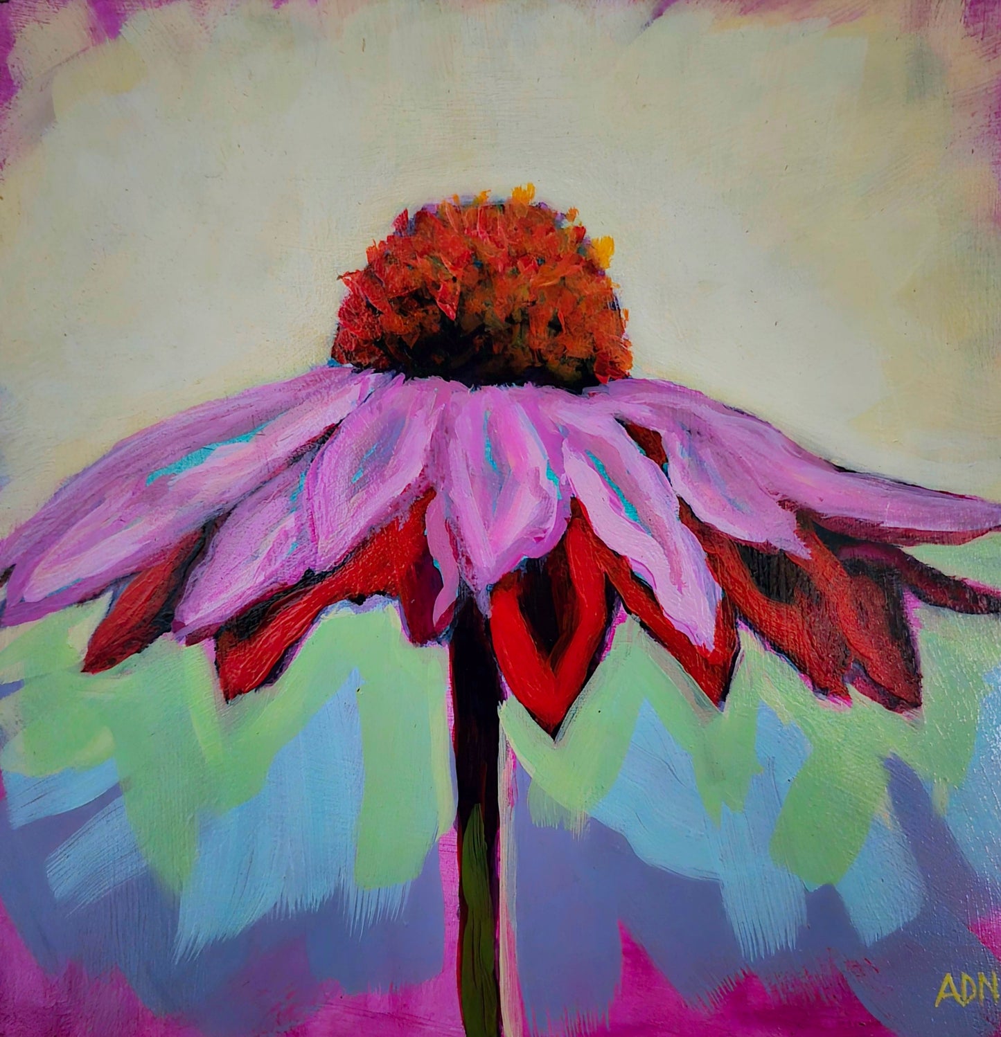 Colorful Coneflower