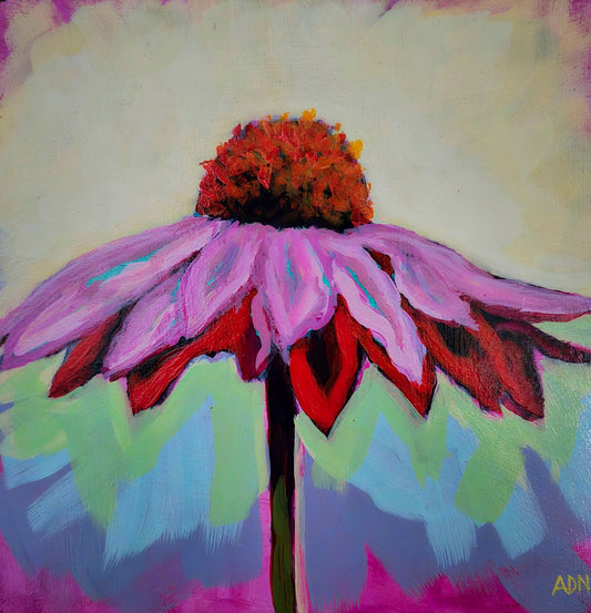 Colorful Coneflower