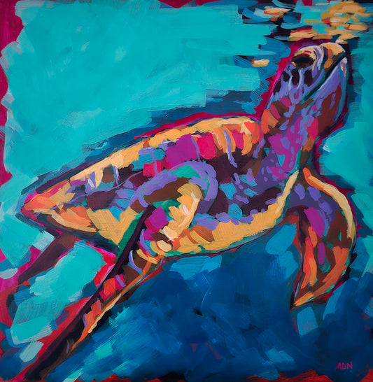 Tortuga