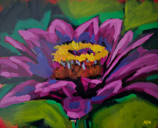 Purple Zinnia