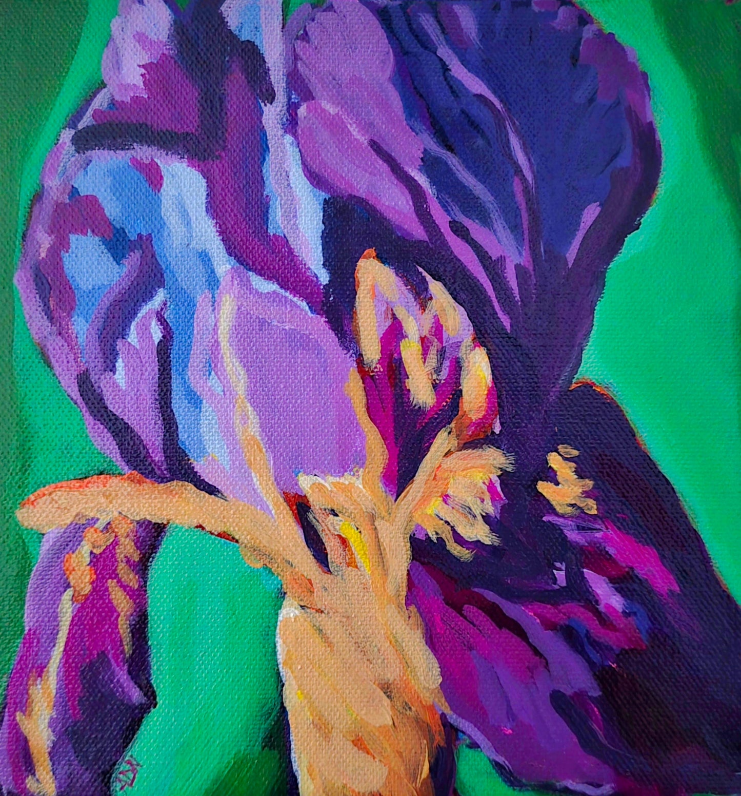 Iris