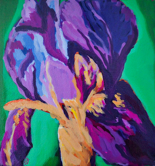 Iris