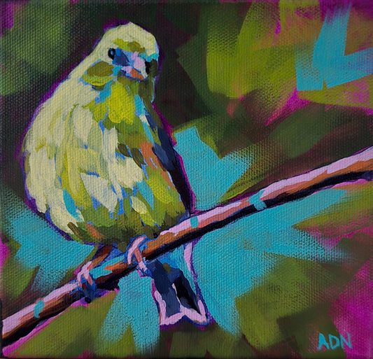 Morning bird