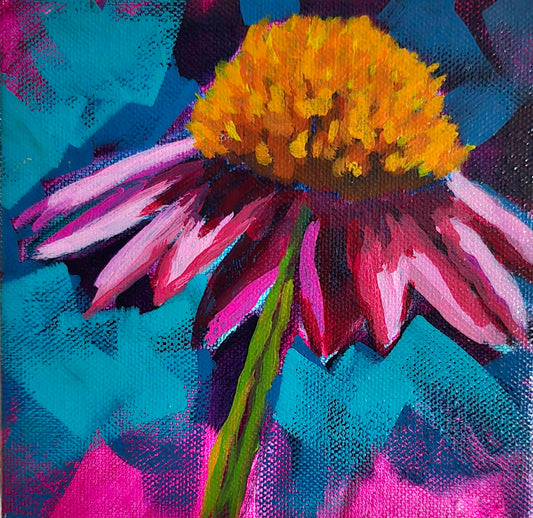 Punk Coneflower