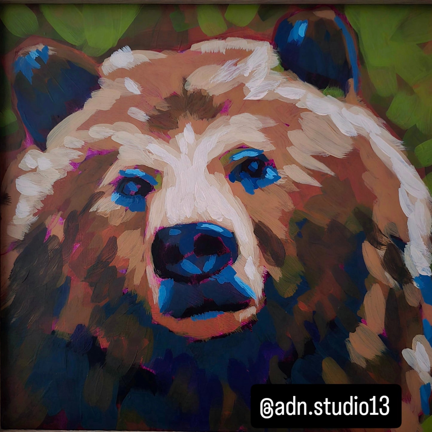 Bear Bear